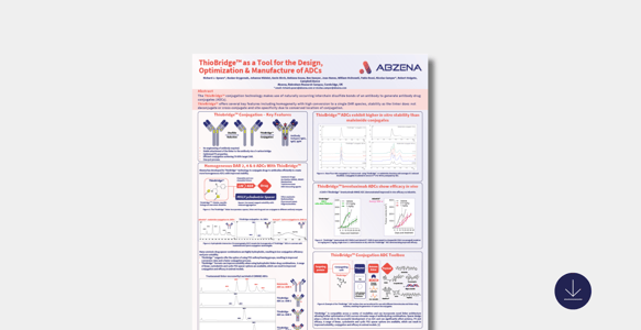 ThioBridge as a Tool for the Design, Optimization & Manufacture of ADCs