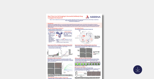Custom Designed Linker-Payload Synthesis & Bioconjugation towards ADC Development