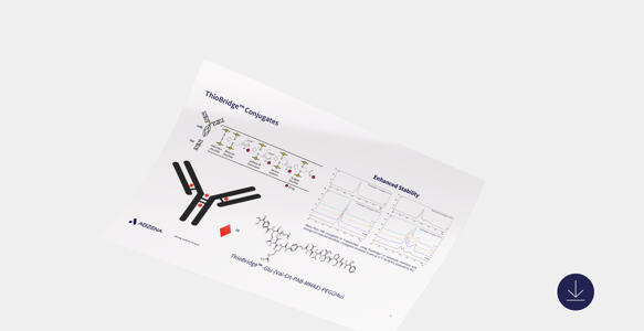 TheorBridge Conjugates